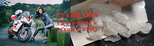 стафф Арсеньев