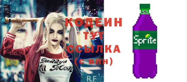 стафф Арсеньев