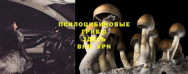 Альфа ПВП Аркадак