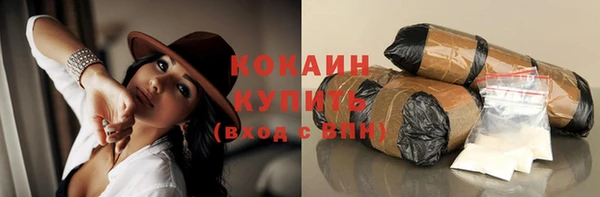 стафф Арсеньев