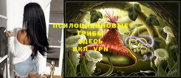 винт Армянск