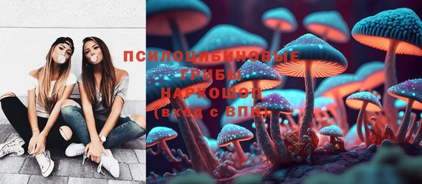 винт Армянск