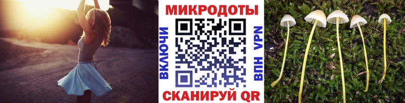 Галлюциногенные грибы Psilocybe Аткарск