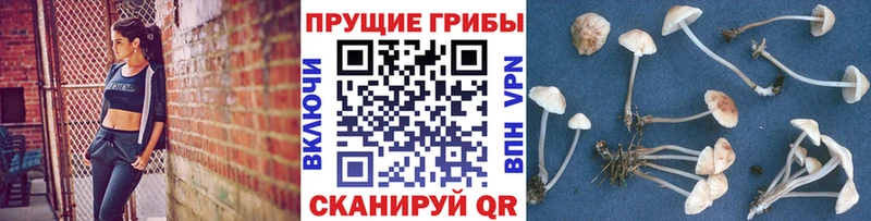 Галлюциногенные грибы мухоморы  Аткарск 