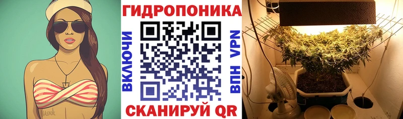 дарнет шоп  Аткарск  darknet формула  Шишки марихуана THC 21% 